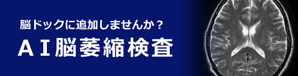 AI脳萎縮検査