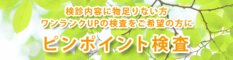 ピンポイント検査